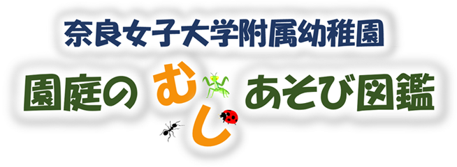 奈良女子大学附属幼稚園 園庭のむしあそび図鑑